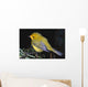 Yellow Warbler Wall Mural
