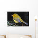 Yellow Warbler Wall Mural