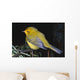 Yellow Warbler Wall Mural