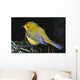 Yellow Warbler Wall Mural