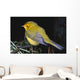 Yellow Warbler Wall Mural