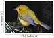 Yellow Warbler Wall Mural