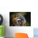 Portrait Of Gray Fox Barking Wall Mural