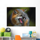 Portrait Of Gray Fox Barking Wall Mural