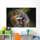 Portrait Of Gray Fox Barking Wall Mural