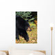 Black Bear Wall Mural