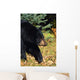 Black Bear Wall Mural