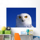 Snowy Owl, Looking At Camera, Stern Expression Wall Mural
