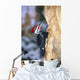 Pileated Woodpecker Wall Mural
