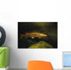 Underwater View Of Northern Pike Wall Mural