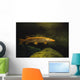 Underwater View Of Northern Pike Wall Mural