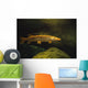 Underwater View Of Northern Pike Wall Mural