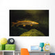 Underwater View Of Northern Pike Wall Mural