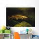 Underwater View Of Northern Pike Wall Mural