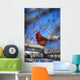 Male Northern Cardinal Bird Wall Mural