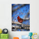 Male Northern Cardinal Bird Wall Mural