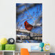 Male Northern Cardinal Bird Wall Mural