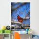 Male Northern Cardinal Bird Wall Mural