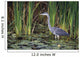 Great Blue Heron Wall Mural