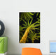 Palm Trees, Arecaceae Genera Wall Mural