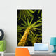 Palm Trees, Arecaceae Genera Wall Mural