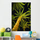 Palm Trees, Arecaceae Genera Wall Mural