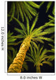 Palm Trees, Arecaceae Genera Wall Mural