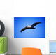 Pelican In Flight Wall Mural