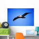 Pelican In Flight Wall Mural