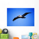 Pelican In Flight Wall Mural