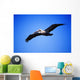 Pelican In Flight Wall Mural