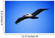 Pelican In Flight Wall Mural