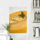 Puree Soup