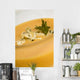 Puree Soup