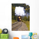 Steam Train On Tracks Wall Mural
