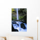 Elowah Falls, Columbia River Gorge, Oregon, Usa Wall Mural