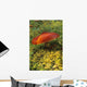 Single Mushroom Wall Mural