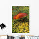 Single Mushroom Wall Mural