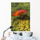 Single Mushroom Wall Mural