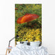 Single Mushroom Wall Mural