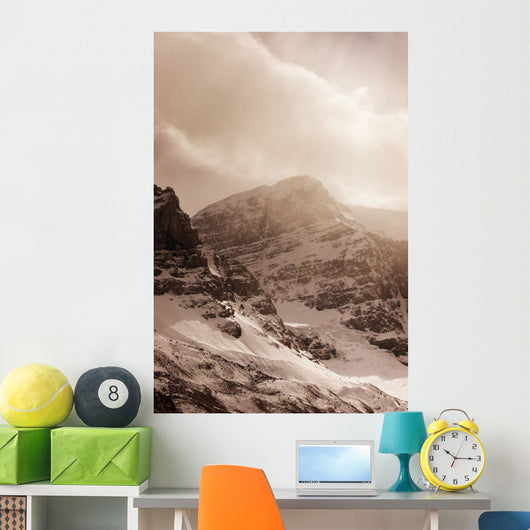 Columbia Ice Fields Wall Mural