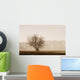 Tree Silhouette In Fog Wall Mural