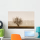 Tree Silhouette In Fog Wall Mural