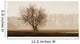 Tree Silhouette In Fog Wall Mural