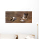 Canada Geese In Flight Wall Mural