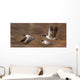 Canada Geese In Flight Wall Mural