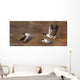 Canada Geese In Flight Wall Mural