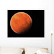The Red Planet Wall Mural