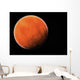The Red Planet Wall Mural