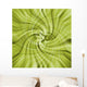 Background And Textures Wall Mural